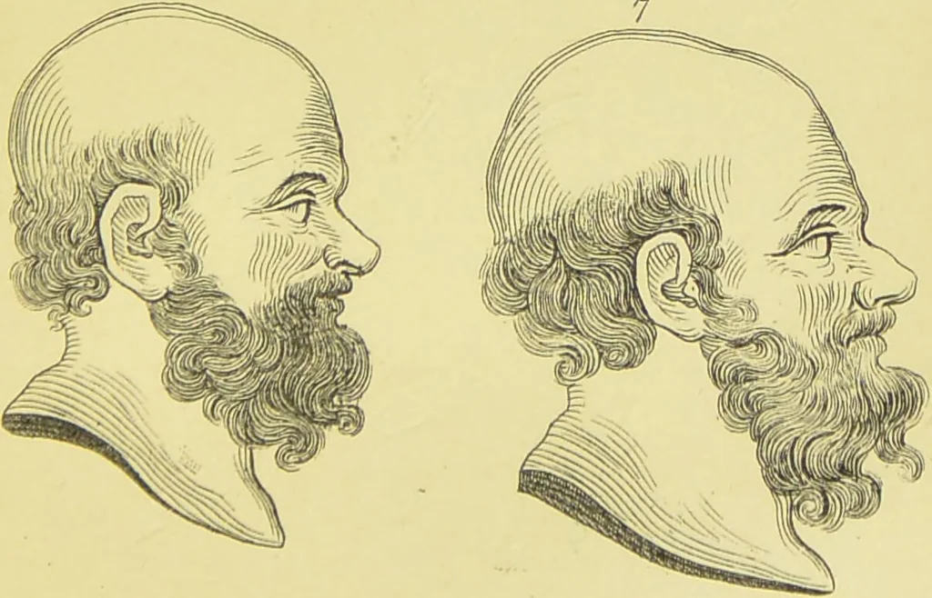 An illustration from Essays on physiognomy / translated from the German of John Caspar Lavater, by Thomas Holcroft. Also one hundred physiognomical rules, taken from a posthumous work of J. C. Lavater ; and a memoir of the author., 1880, leaf 285