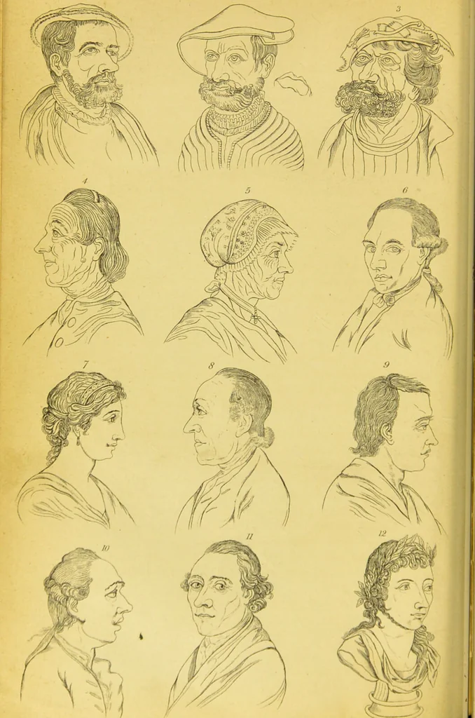 An illustration from Essays on physiognomy / translated from the German of John Caspar Lavater, by Thomas Holcroft. Also one hundred physiognomical rules, taken from a posthumous work of J. C. Lavater ; and a memoir of the author., 1880, leaf 288