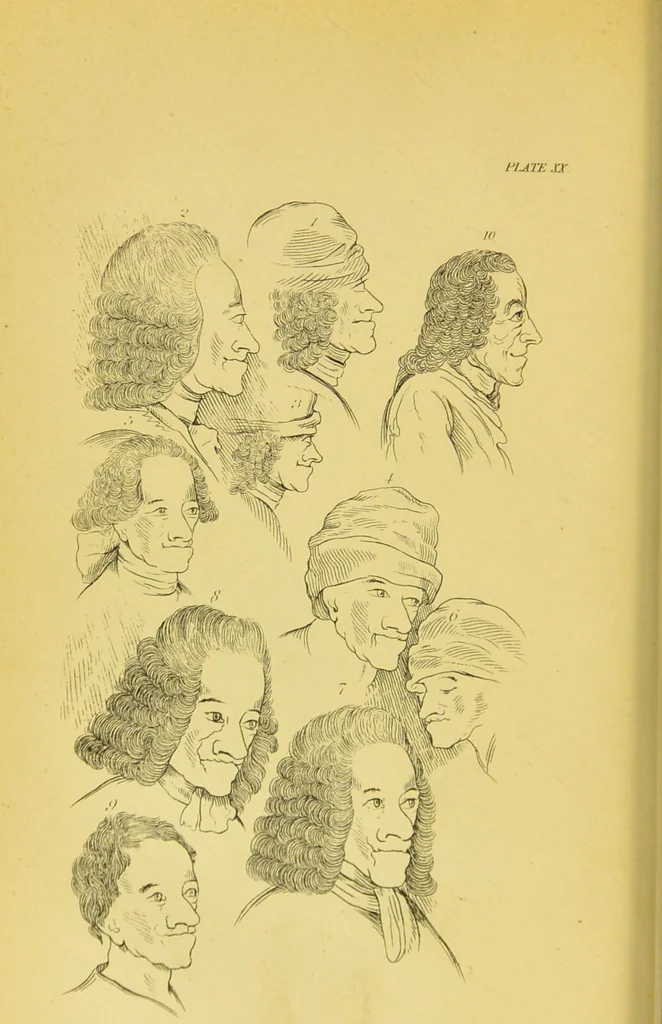 An illustration from Essays on physiognomy / translated from the German of John Caspar Lavater, by Thomas Holcroft. Also one hundred physiognomical rules, taken from a posthumous work of J. C. Lavater ; and a memoir of the author., 1880, leaf 294