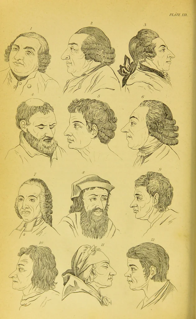 An illustration from Essays on physiognomy / translated from the German of John Caspar Lavater, by Thomas Holcroft. Also one hundred physiognomical rules, taken from a posthumous work of J. C. Lavater ; and a memoir of the author., 1880, leaf 296