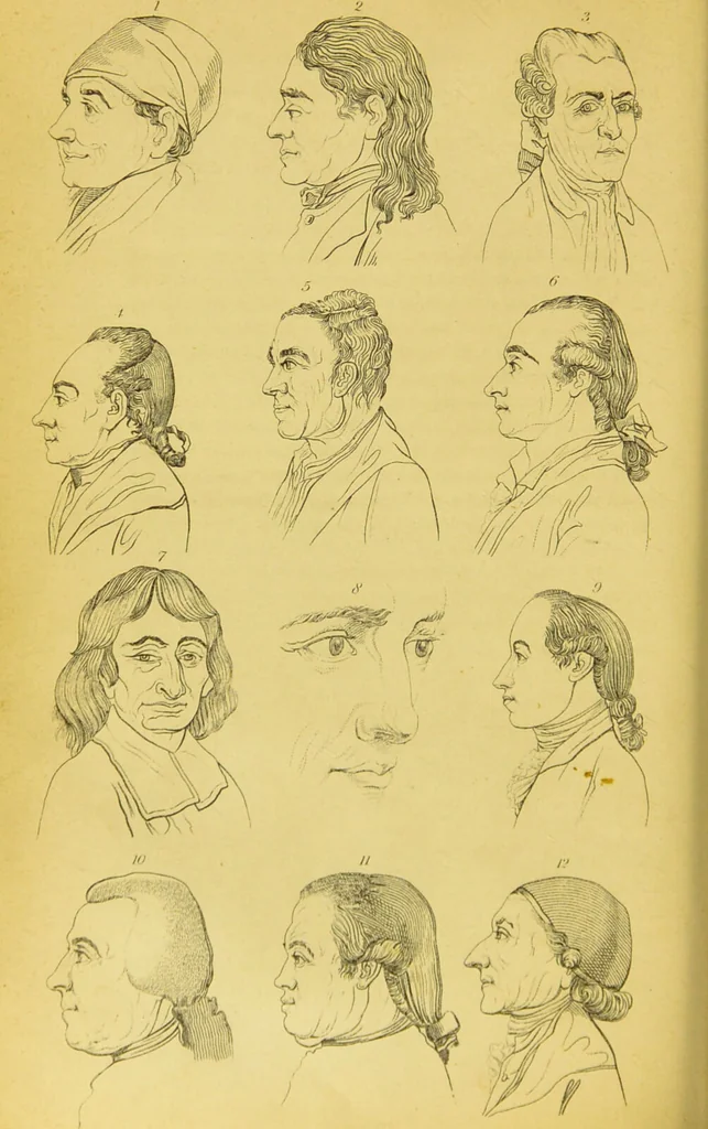 An illustration from Essays on physiognomy / translated from the German of John Caspar Lavater, by Thomas Holcroft. Also one hundred physiognomical rules, taken from a posthumous work of J. C. Lavater ; and a memoir of the author., 1880, leaf 300