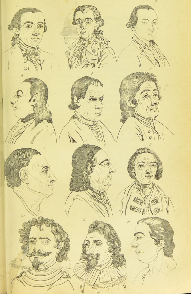An illustration from Essays on physiognomy / translated from the German of John Caspar Lavater, by Thomas Holcroft. Also one hundred physiognomical rules, taken from a posthumous work of J. C. Lavater ; and a memoir of the author., 1880, leaf 351
