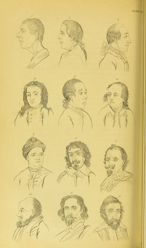 An illustration from Essays on physiognomy / translated from the German of John Caspar Lavater, by Thomas Holcroft. Also one hundred physiognomical rules, taken from a posthumous work of J. C. Lavater ; and a memoir of the author., 1880, leaf 362