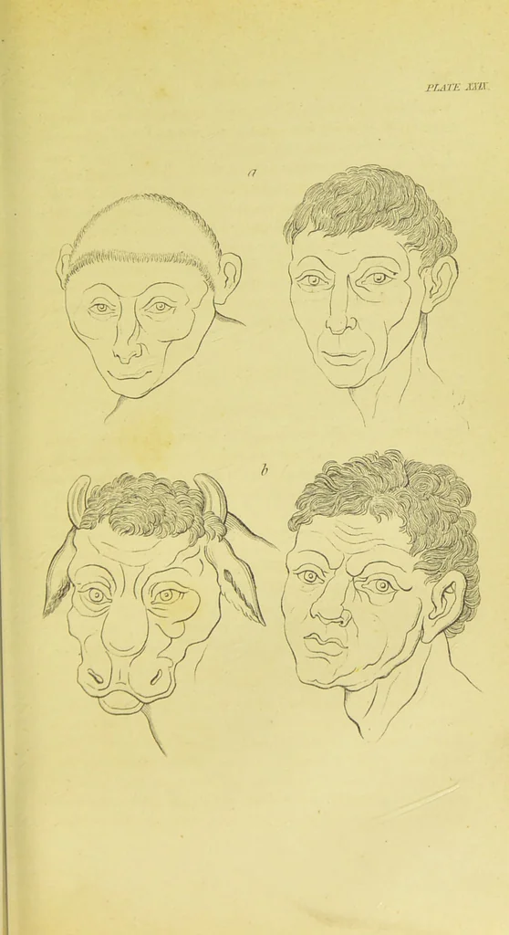 An illustration from Essays on physiognomy / translated from the German of John Caspar Lavater, by Thomas Holcroft. Also one hundred physiognomical rules, taken from a posthumous work of J. C. Lavater ; and a memoir of the author., 1880, leaf 395