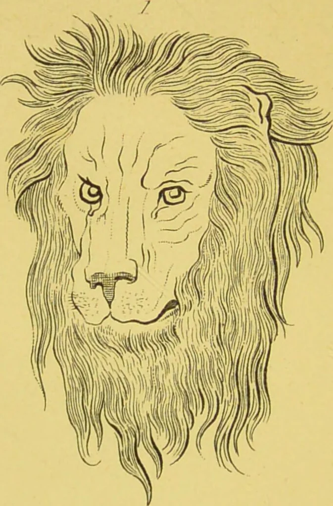 An illustration from Essays on physiognomy / translated from the German of John Caspar Lavater, by Thomas Holcroft. Also one hundred physiognomical rules, taken from a posthumous work of J. C. Lavater ; and a memoir of the author., 1880, leaf 414