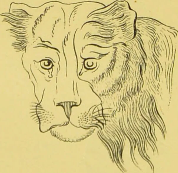 An illustration from Essays on physiognomy / translated from the German of John Caspar Lavater, by Thomas Holcroft. Also one hundred physiognomical rules, taken from a posthumous work of J. C. Lavater ; and a memoir of the author., 1880, leaf 414