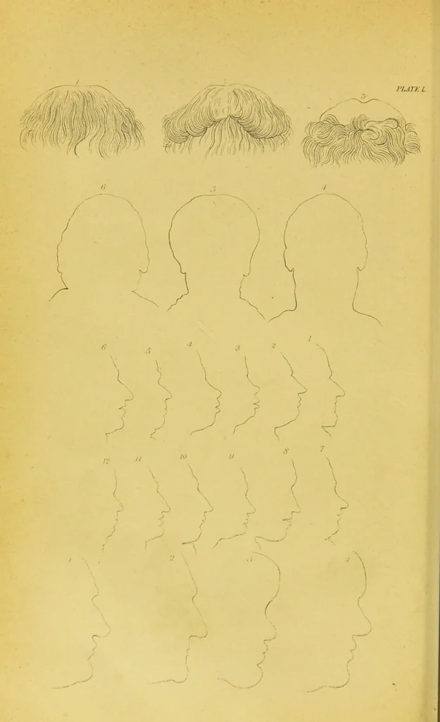 An illustration from Essays on physiognomy / translated from the German of John Caspar Lavater, by Thomas Holcroft. Also one hundred physiognomical rules, taken from a posthumous work of J. C. Lavater ; and a memoir of the author., 1880, leaf 480