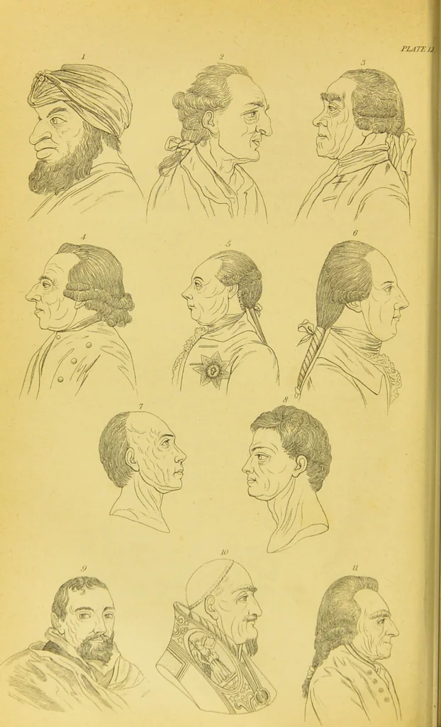 An illustration from Essays on physiognomy / translated from the German of John Caspar Lavater, by Thomas Holcroft. Also one hundred physiognomical rules, taken from a posthumous work of J. C. Lavater ; and a memoir of the author., 1880, leaf 504