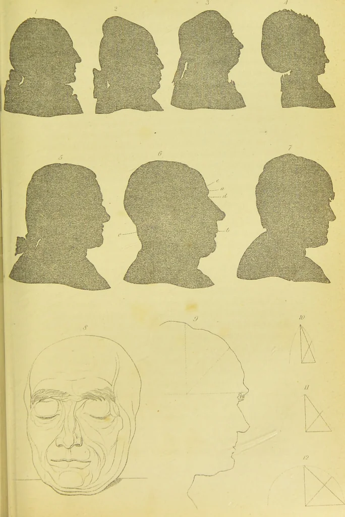 An illustration from Essays on physiognomy / translated from the German of John Caspar Lavater, by Thomas Holcroft. Also one hundred physiognomical rules, taken from a posthumous work of J. C. Lavater ; and a memoir of the author., 1880, leaf 509