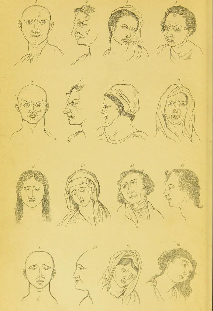 An illustration from Essays on physiognomy / translated from the German of John Caspar Lavater, by Thomas Holcroft. Also one hundred physiognomical rules, taken from a posthumous work of J. C. Lavater ; and a memoir of the author., 1880, leaf 6