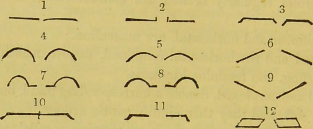 An illustration from Essays on physiognomy / translated from the German of John Caspar Lavater, by Thomas Holcroft. Also one hundred physiognomical rules, taken from a posthumous work of J. C. Lavater ; and a memoir of the author., 1880, leaf 626