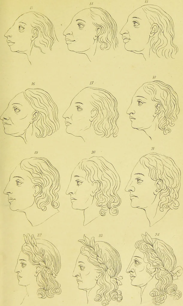 An illustration from Essays on physiognomy / translated from the German of John Caspar Lavater, by Thomas Holcroft. Also one hundred physiognomical rules, taken from a posthumous work of J. C. Lavater ; and a memoir of the author., 1880, leaf 627