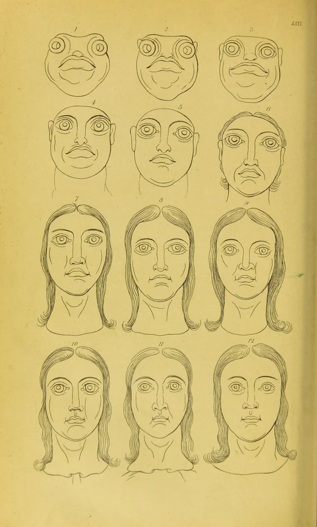 An illustration from Essays on physiognomy / translated from the German of John Caspar Lavater, by Thomas Holcroft. Also one hundred physiognomical rules, taken from a posthumous work of J. C. Lavater ; and a memoir of the author., 1880, leaf 630