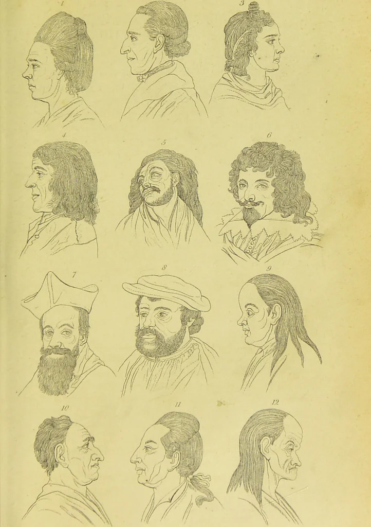 An illustration from Essays on physiognomy / translated from the German of John Caspar Lavater, by Thomas Holcroft. Also one hundred physiognomical rules, taken from a posthumous work of J. C. Lavater ; and a memoir of the author., 1880, leaf 659