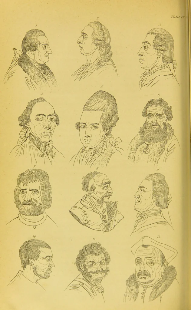 An illustration from Essays on physiognomy / translated from the German of John Caspar Lavater, by Thomas Holcroft. Also one hundred physiognomical rules, taken from a posthumous work of J. C. Lavater ; and a memoir of the author., 1880, leaf 664