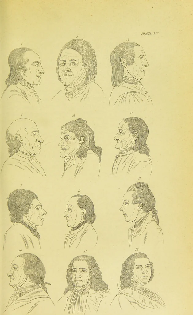 An illustration from Essays on physiognomy / translated from the German of John Caspar Lavater, by Thomas Holcroft. Also one hundred physiognomical rules, taken from a posthumous work of J. C. Lavater ; and a memoir of the author., 1880, leaf 669