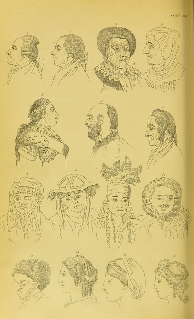 An illustration from Essays on physiognomy / translated from the German of John Caspar Lavater, by Thomas Holcroft. Also one hundred physiognomical rules, taken from a posthumous work of J. C. Lavater ; and a memoir of the author., 1880, leaf 678