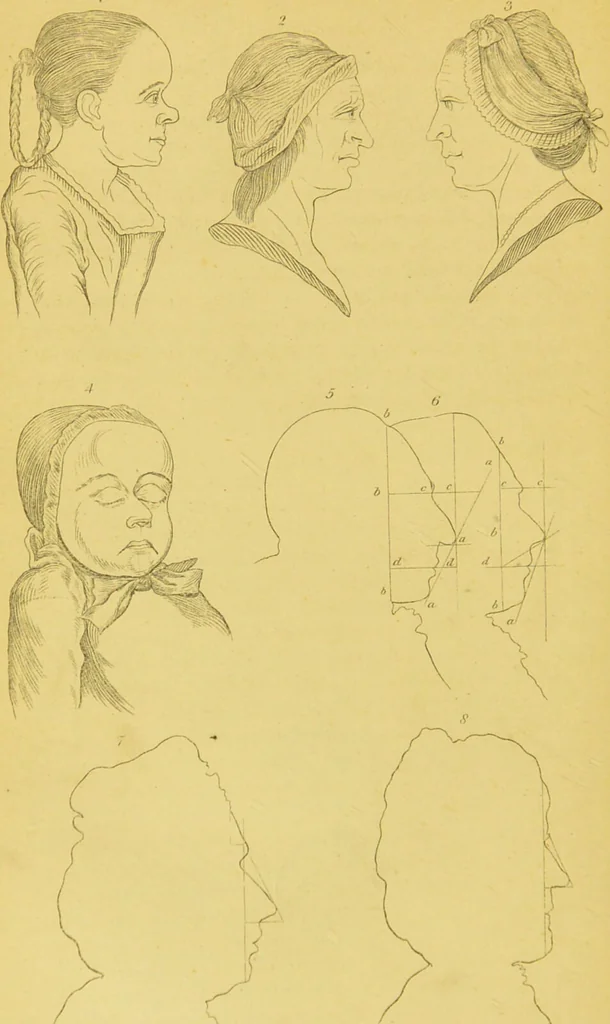 An illustration from Essays on physiognomy / translated from the German of John Caspar Lavater, by Thomas Holcroft. Also one hundred physiognomical rules, taken from a posthumous work of J. C. Lavater ; and a memoir of the author., 1880, leaf 696