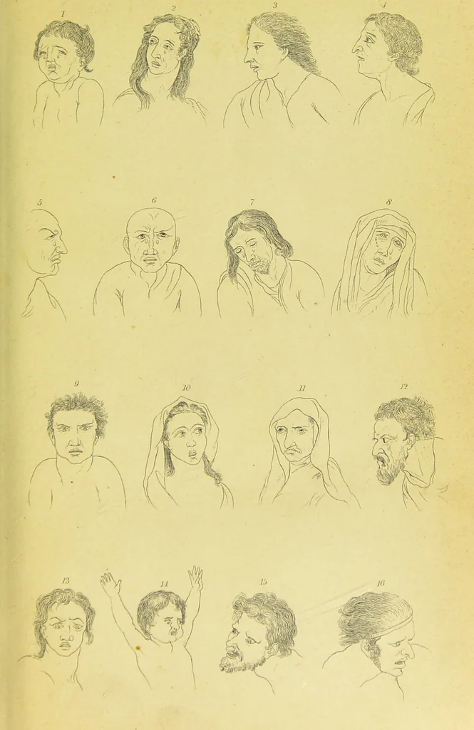 An illustration from Essays on physiognomy / translated from the German of John Caspar Lavater, by Thomas Holcroft. Also one hundred physiognomical rules, taken from a posthumous work of J. C. Lavater ; and a memoir of the author., 1880, leaf 7