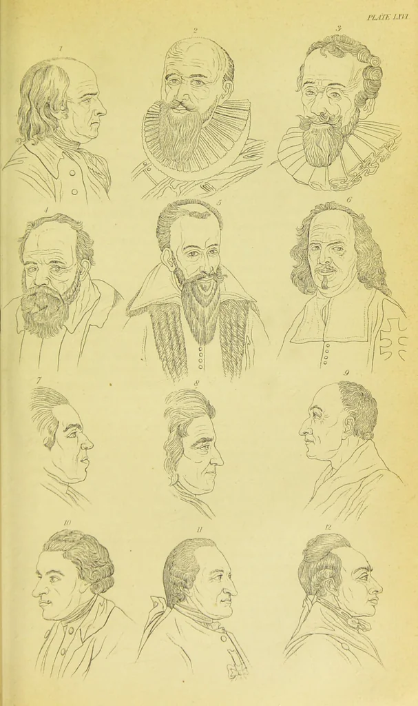 An illustration from Essays on physiognomy / translated from the German of John Caspar Lavater, by Thomas Holcroft. Also one hundred physiognomical rules, taken from a posthumous work of J. C. Lavater ; and a memoir of the author., 1880, leaf 705