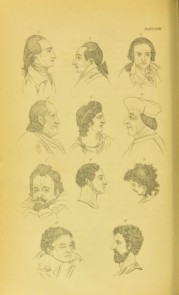 An illustration from Essays on physiognomy / translated from the German of John Caspar Lavater, by Thomas Holcroft. Also one hundred physiognomical rules, taken from a posthumous work of J. C. Lavater ; and a memoir of the author., 1880, leaf 710