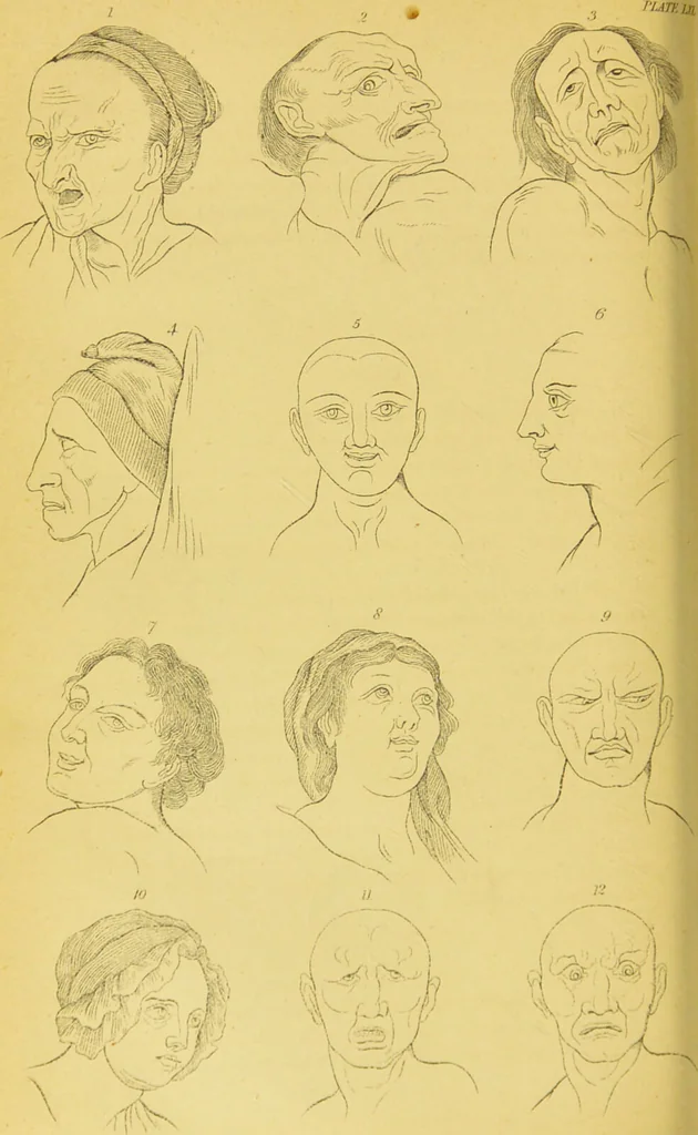 An illustration from Essays on physiognomy / translated from the German of John Caspar Lavater, by Thomas Holcroft. Also one hundred physiognomical rules, taken from a posthumous work of J. C. Lavater ; and a memoir of the author., 1880, leaf 718