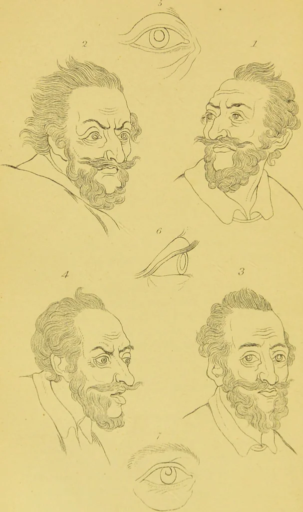 An illustration from Essays on physiognomy / translated from the German of John Caspar Lavater, by Thomas Holcroft. Also one hundred physiognomical rules, taken from a posthumous work of J. C. Lavater ; and a memoir of the author., 1880, leaf 722