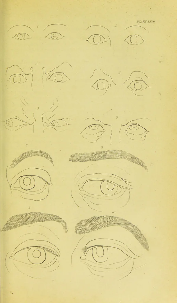 An illustration from Essays on physiognomy / translated from the German of John Caspar Lavater, by Thomas Holcroft. Also one hundred physiognomical rules, taken from a posthumous work of J. C. Lavater ; and a memoir of the author., 1880, leaf 729