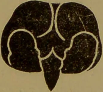 An illustration from The self-instructor in phrenology and physiology : with over one hundred new illustrations, including a chart for the use of practical phrenologists / by O.S. and L.N. Fowler. Rev. by Nelson Sizer., 1889, leaf 72