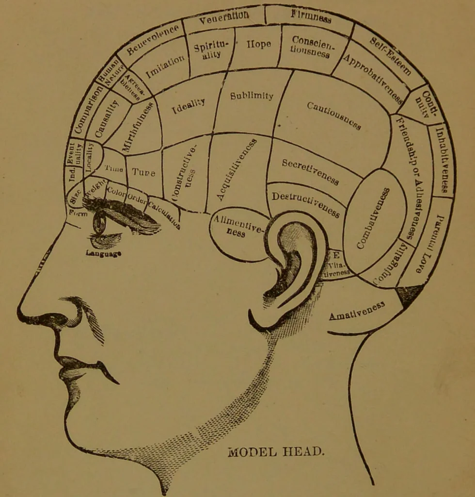 An illustration from The self-instructor in phrenology and physiology : with over one hundred new illustrations, including a chart for the use of practical phrenologists / by O.S. and L.N. Fowler. Rev. by Nelson Sizer., 1889, leaf 8