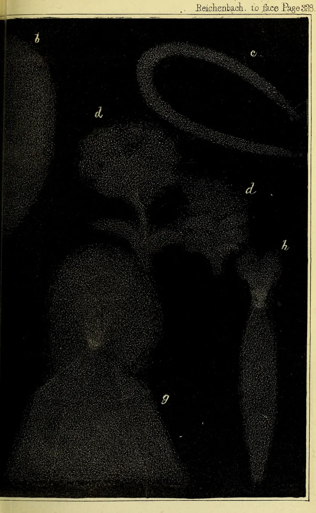 An illustration from Physico-physiological researches on the dynamics of magnetism, electricity, heat, light, crystallization, and chemism, in their relations to vital force / by Baron Charles Von Reichenbach; with the addition of a preface and critical notes by John Ashburner., 1850, leaf 361