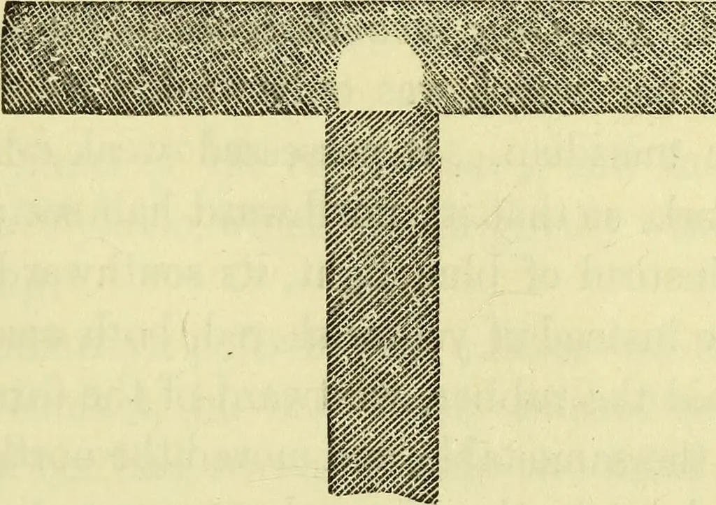 An illustration from Physico-physiological researches on the dynamics of magnetism, electricity, heat, light, crystallization, and chemism, in their relations to vital force / by Baron Charles Von Reichenbach; with the addition of a preface and critical notes by John Ashburner., 1850, leaf 447