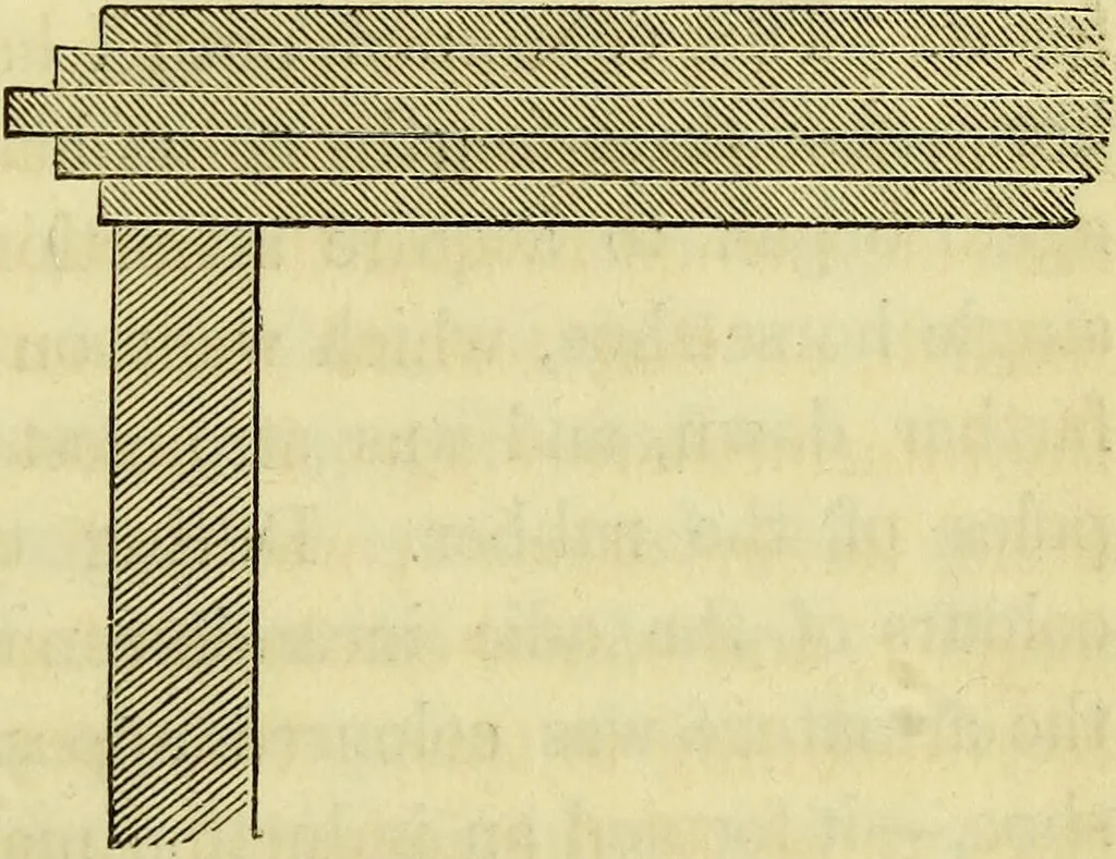 An illustration from Physico-physiological researches on the dynamics of magnetism, electricity, heat, light, crystallization, and chemism, in their relations to vital force / by Baron Charles Von Reichenbach; with the addition of a preface and critical notes by John Ashburner., 1850, leaf 459