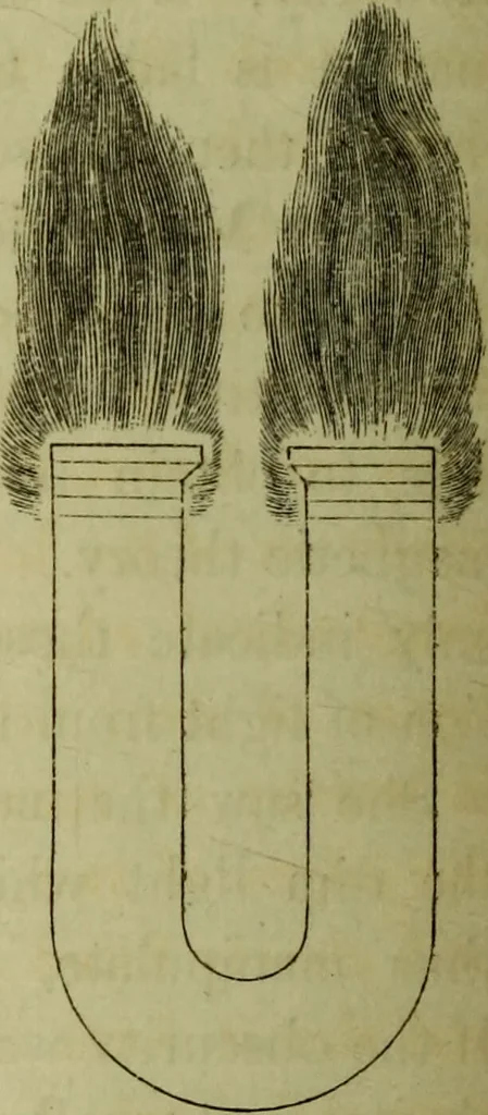 An illustration from Physico-physiological researches on the dynamics of magnetism, electricity, heat, light, crystallization, and chemism, in their relations to vital force / by Baron Charles Von Reichenbach; with the addition of a preface and critical notes by John Ashburner., 1850, leaf 48