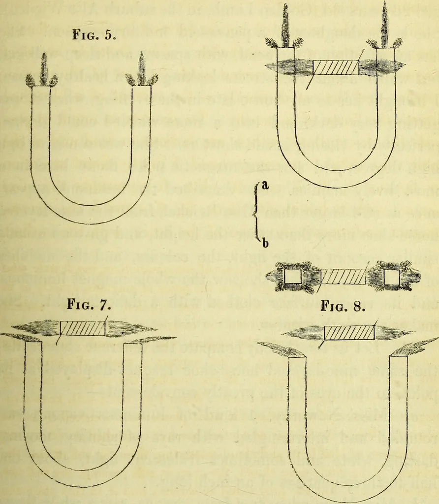 An illustration from Physico-physiological researches on the dynamics of magnetism, electricity, heat, light, crystallization, and chemism, in their relations to vital force / by Baron Charles Von Reichenbach; with the addition of a preface and critical notes by John Ashburner., 1850, leaf 53