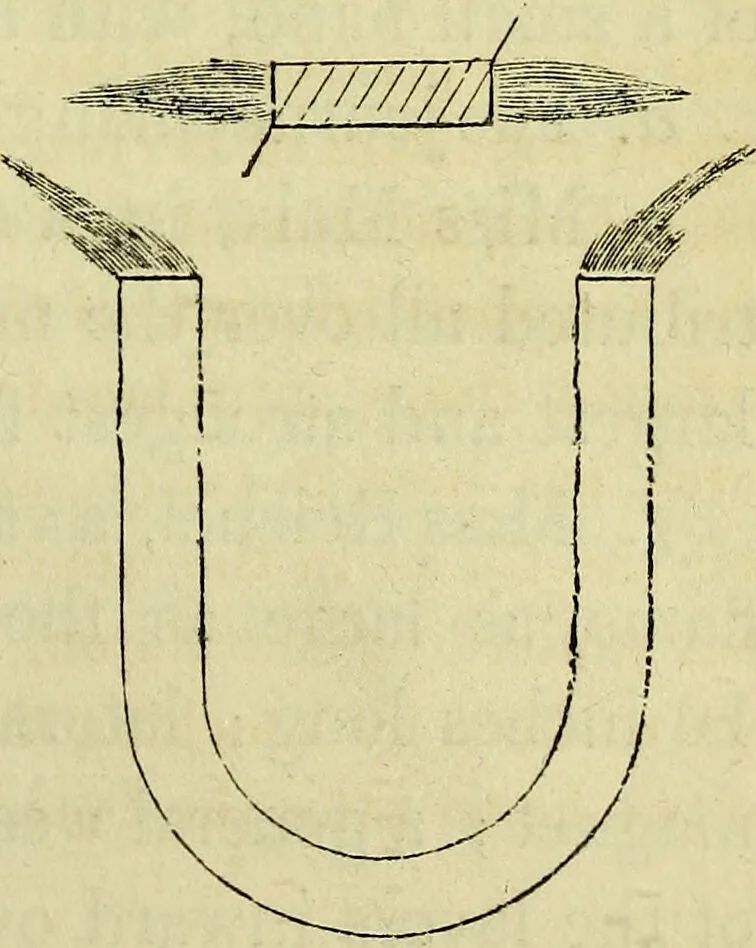 An illustration from Physico-physiological researches on the dynamics of magnetism, electricity, heat, light, crystallization, and chemism, in their relations to vital force / by Baron Charles Von Reichenbach; with the addition of a preface and critical notes by John Ashburner., 1850, leaf 53