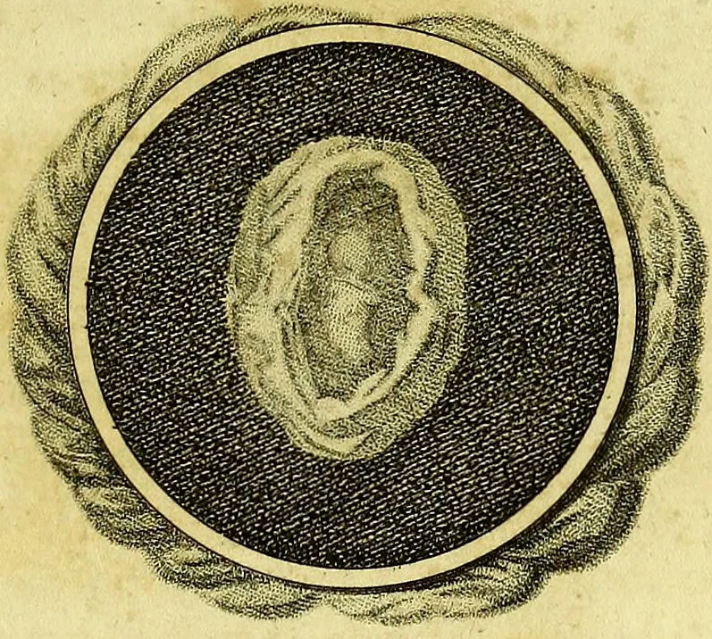 An illustration from A key to physic, and the occult sciences : opening to mental view, the system and order of the interior and exterior heavens; the analogy betwixt angels, and spirits of men; and the sympathy between celestial and terrestrial bodies, from whence is deduced an obvious discrimination of future events, in the motions and position of the luminaries, planets, and stars; the universal spirit and economy of nature, in the production of all things; the principles of etherial, and atmospherical influx, in constituting the proper recipient of life; the active and passive tinctures requisite in the generation of men and brutes; and the foundation and necessity of that invisible agitation of matter, which stimulates and impels every living creature in the act of begetting its like; the properties of vegetable, mineral and animal magnetism: the fundamental causes and qualities, visible or occult, of all diseases, both of mind and body, and the simple modes prescribed by nature for their prevention and cure : to which are added, lunar tables, calculated from sidereal motion; exhibiting upon the most simple, yet unerring construction, the actual moment of the crisis of every disease, and the consequent termination thereof, whether for life or death: the whole forming an interesting supplement to Culpeper's family physician, and display of the occult sciences ; published for the good of all / by E. Sibly., 1821, leaf 337