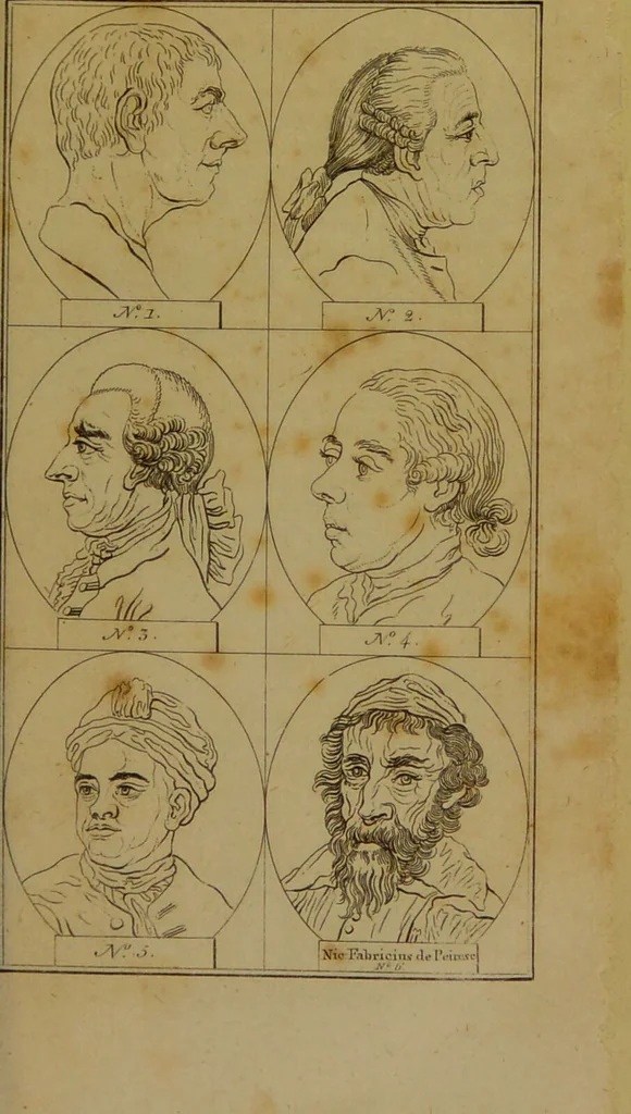 An illustration from Physiognomy; or, the corresponding analogy between the conformation of the features and the ruling passions of the mind / translated from the original work of J. C. Lavater by Samuel Shaw Esq. Editor of the Abridgement of Bruce's Travels., 1792, leaf 103