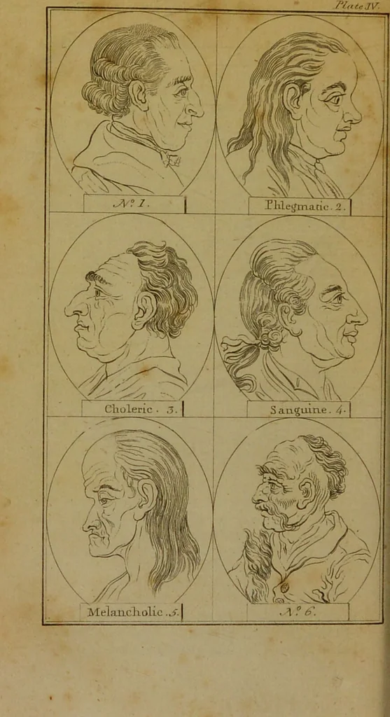 An illustration from Physiognomy; or, the corresponding analogy between the conformation of the features and the ruling passions of the mind / translated from the original work of J. C. Lavater by Samuel Shaw Esq. Editor of the Abridgement of Bruce's Travels., 1792, leaf 142