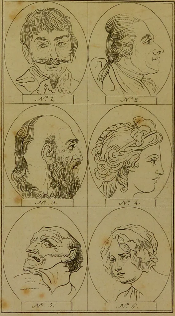 An illustration from Physiognomy; or, the corresponding analogy between the conformation of the features and the ruling passions of the mind / translated from the original work of J. C. Lavater by Samuel Shaw Esq. Editor of the Abridgement of Bruce's Travels., 1792, leaf 210