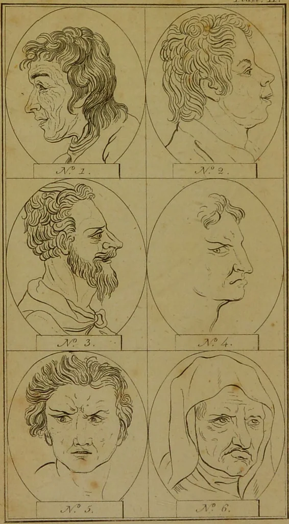 An illustration from Physiognomy; or, the corresponding analogy between the conformation of the features and the ruling passions of the mind / translated from the original work of J. C. Lavater by Samuel Shaw Esq. Editor of the Abridgement of Bruce's Travels., 1792, leaf 62