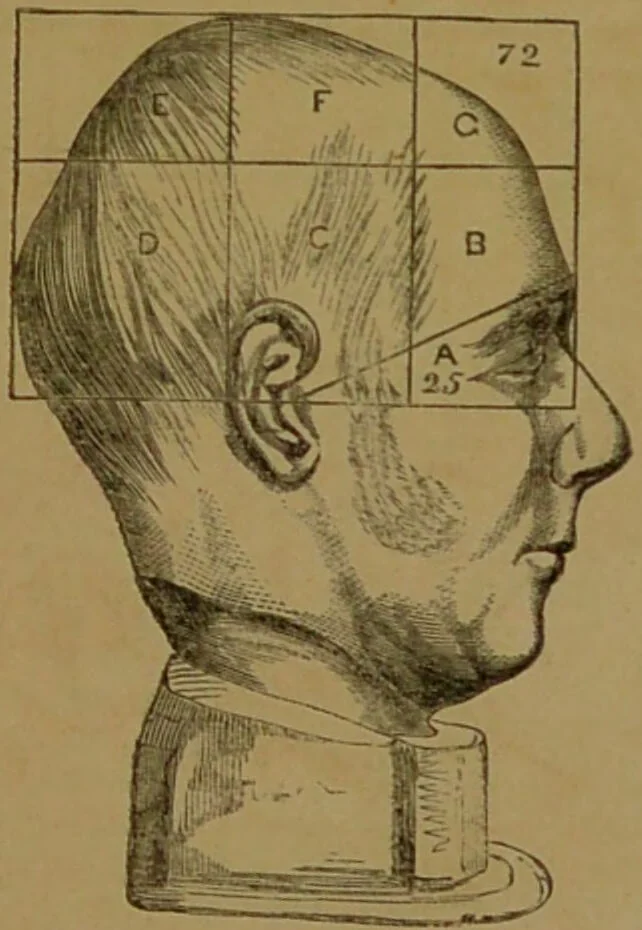 An illustration from Phrenology made practical and popularly explained / by Frederick Bridges., 1861, leaf 139