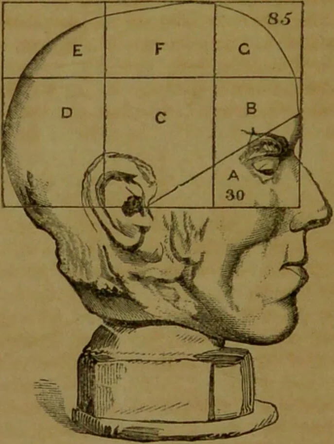 An illustration from Phrenology made practical and popularly explained / by Frederick Bridges., 1861, leaf 140