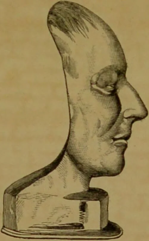 An illustration from Phrenology made practical and popularly explained / by Frederick Bridges., 1861, leaf 165