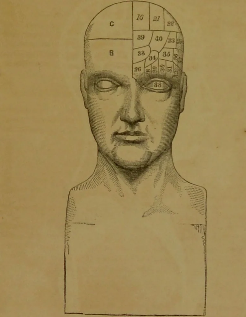 An illustration from Phrenology made practical and popularly explained / by Frederick Bridges., 1861, leaf 17
