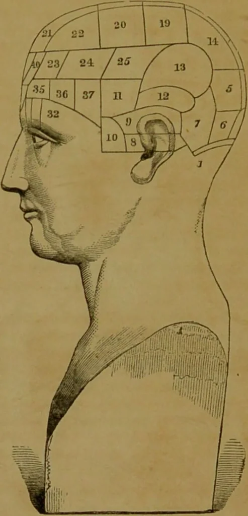 An illustration from Phrenology made practical and popularly explained / by Frederick Bridges., 1861, leaf 18