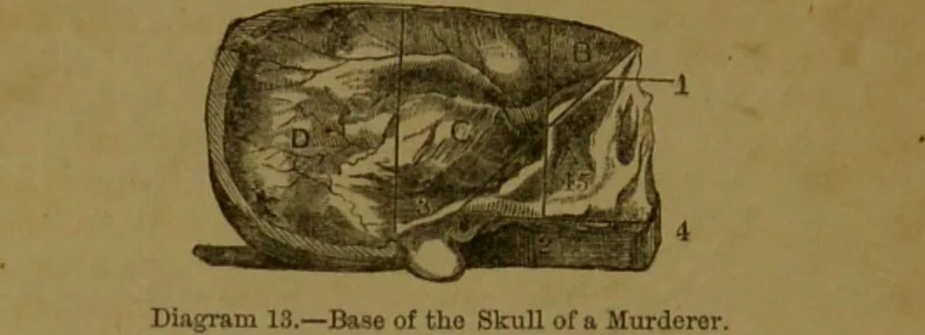 An illustration from Phrenology made practical and popularly explained / by Frederick Bridges., 1861, leaf 62