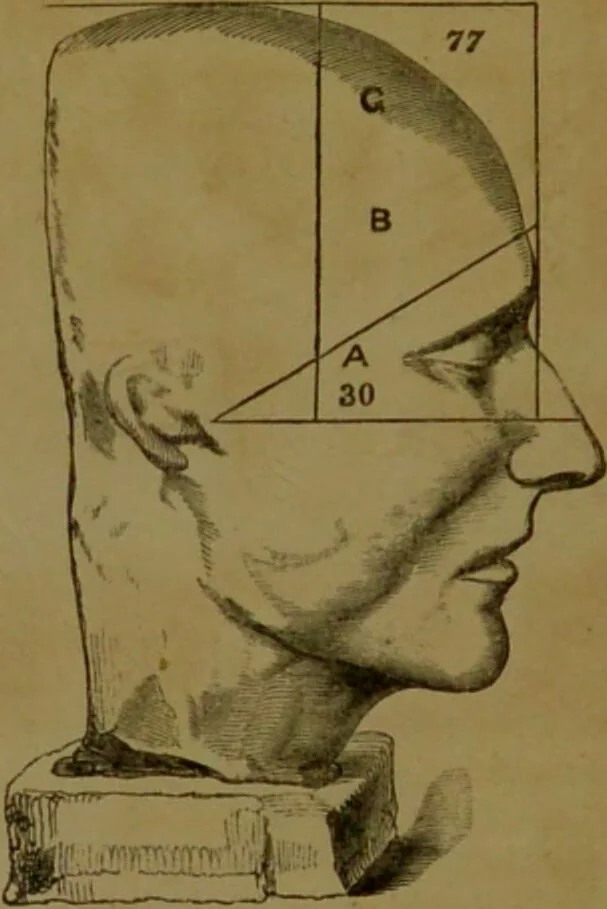 An illustration from Phrenology made practical and popularly explained / by Frederick Bridges., 1861, leaf 68