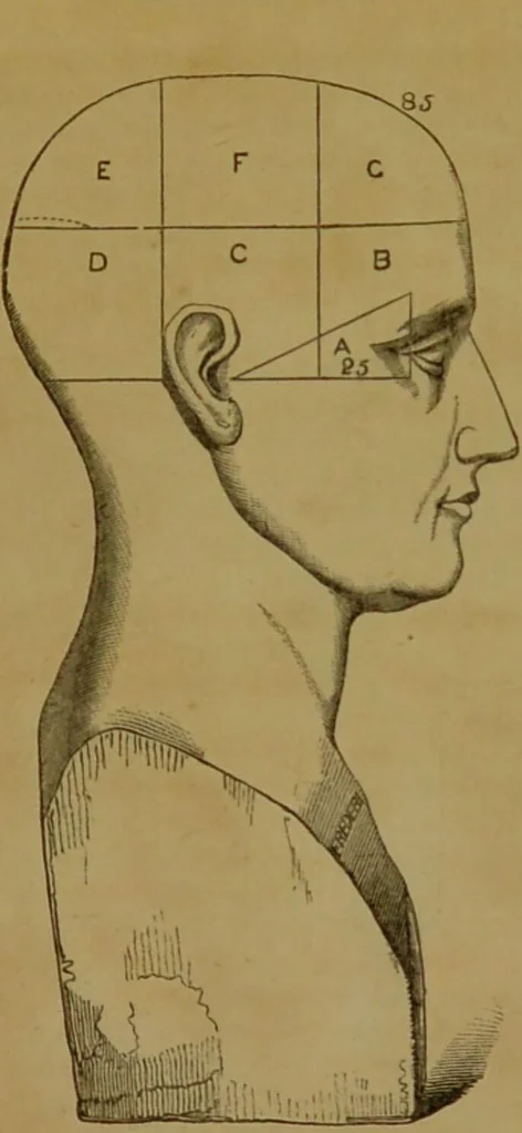 An illustration from Phrenology made practical and popularly explained / by Frederick Bridges., 1861, leaf 69