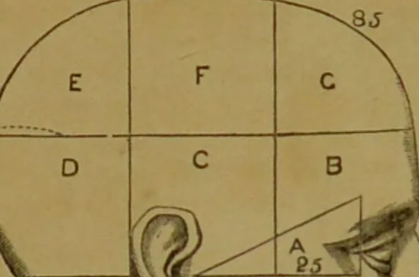 An illustration from Phrenology made practical and popularly explained / by Frederick Bridges., 1861, leaf 69